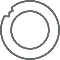 5-Year Chip Replacement icon